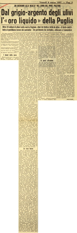 P (1957), Dal grigio-argento degli ulivi l’oro liquido della Puglia (La GdM, 8 marzo 1957, p. 3).JPG