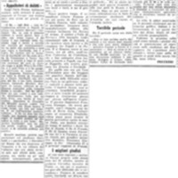 Viterbo Michele (1953) Mentre avveniva l'incontro a Teano l'Austria meditava di aggredire l'Italia nascente (La Gazzetta del Mezzogiorno, 29 gennaio 1953, p. 3).jpg