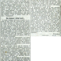 Froment (1919), I combattenti di Bari costituiscono il Partito per il Rinnovamento Provinciale, Democrazia estremista e rivendicazioni regionali (Il Tempo, 25 novembre 1919, p. 3).JPG
