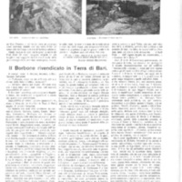 VM(1913), Il Borbone rivendicato in Terra di Bari (Humanitas, 23 novembre 1913, p. 343-344).pdf