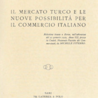 Il mercato turco e le nuove possibilità per il commercio italiano (br).pdf