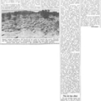 Viterbo Michele (1951) Sulla fatale pianura di Canne s'infranse la fortuna di Melo (La Gazzetta del Mezzogiorno, 30 ottobre 1951, p. 3).jpg