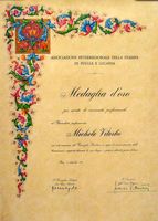 (1966) Attestato per la medaglia d'oro alla carriera giornalistica.JPG