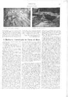 VM(1913), Il Borbone rivendicato in Terra di Bari (Humanitas, 23 novembre 1913, p. 343-344).pdf